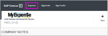 select Expense link in the navigation bar