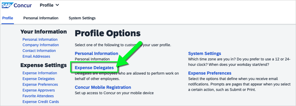 screenshot of Profile Options includes Expense Delegates