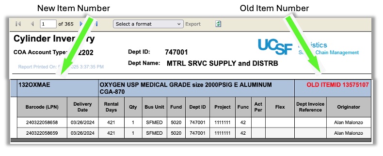 Example of Gas Cylinder Inventory Report