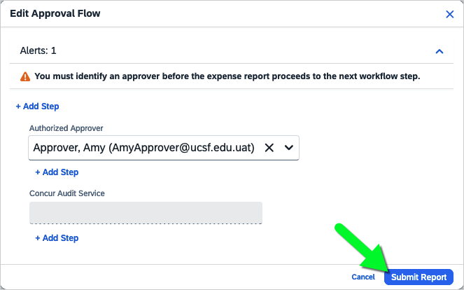 Approval Flow shows only an Authorized Approver