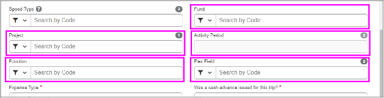 screenshot of fields for find, project, activity period and flex field  window in MyExpense