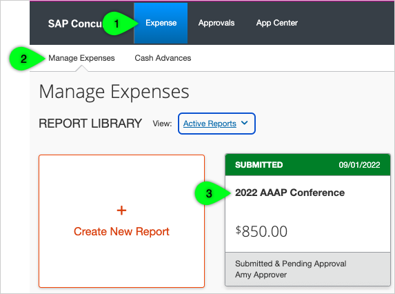 Manage Expenses